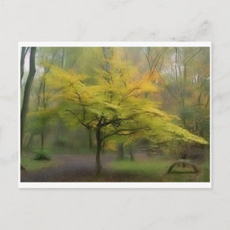american beech postcard