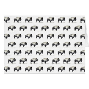American Bison