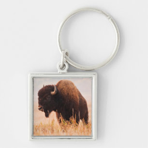 American Bison (Bison Bison) Herd In Teton 2 Keychain