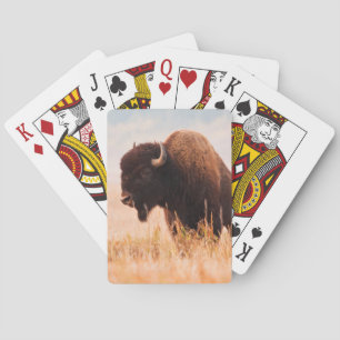 American Bison (Bison Bison) Herd In Teton 2 Playing Cards