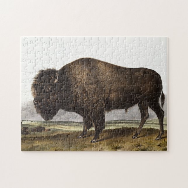 American Bison (Bos Americanus) Illustration Jigsaw Puzzle (Horizontal)