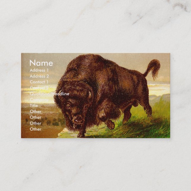 American Bison Business Card (Front)