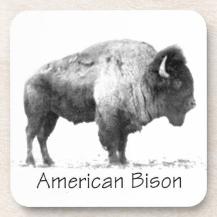 American Bison Coaster