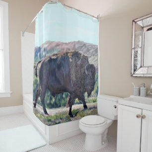 American Bison Grassland Rustic Wildlife