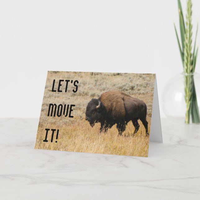 American Bison Grazing In Meadow Grass Photograph Card (Front)