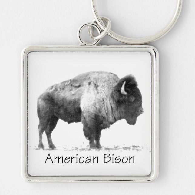 American Bison Keychain (Front)