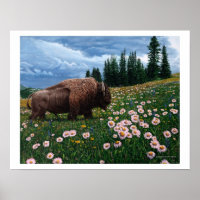 American Bison - "No Time For Flowers"