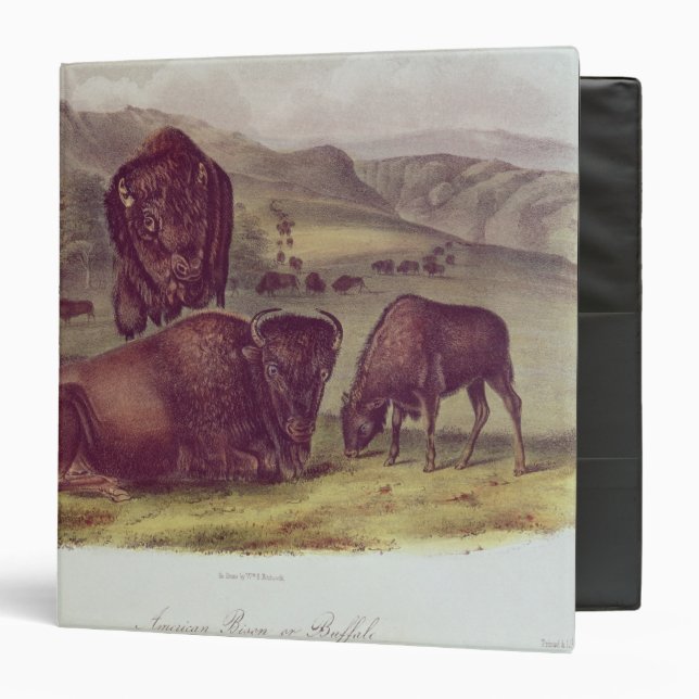 American Bison or Buffalo Binder (Front/Inside)