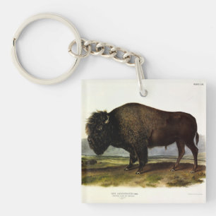 American Bison, or Buffalo (Bison bison) - Audubon Keychain