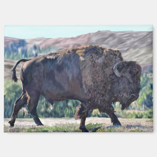 American Bison Roaming in Grassland Setting Magnet
