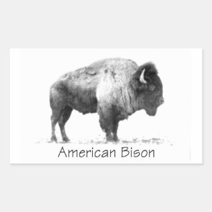 American Bison Sticker