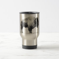 American Bison
