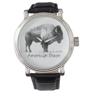 American Bison Watch