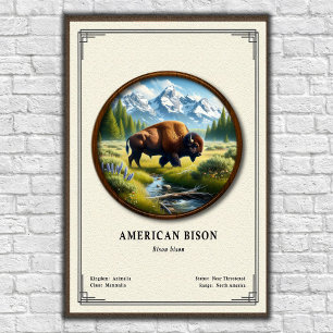 American Bison Zoology Series Poster