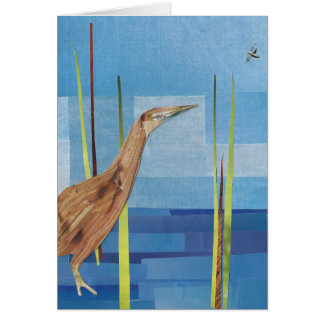 American Bittern
