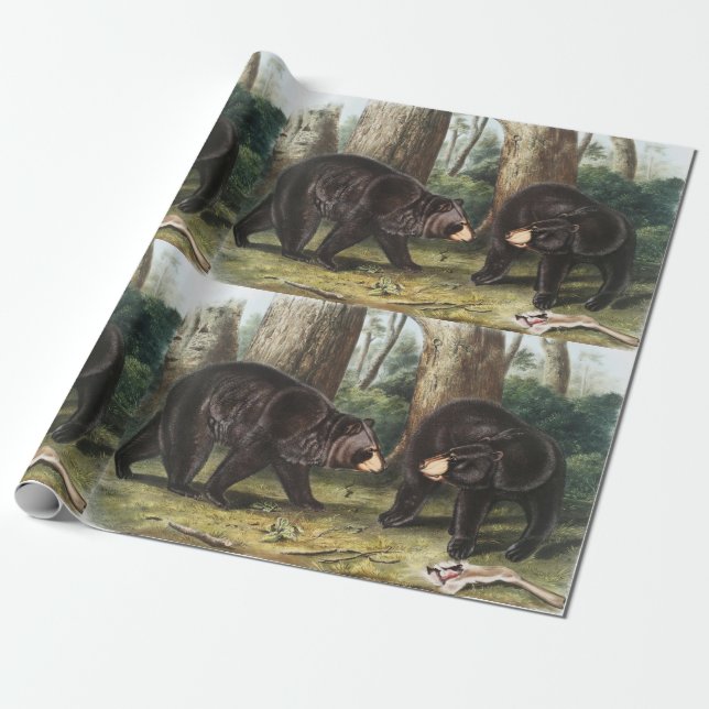 American Black Bear Ursus Americanus Illustration Wrapping Paper (Unrolled)