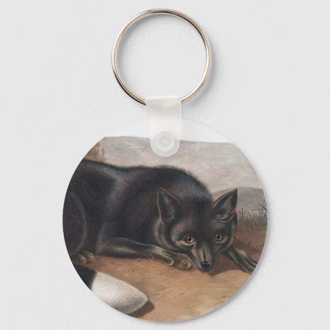 American Black or Silver Fox (Vulpes fulvus) Keychain (Front)
