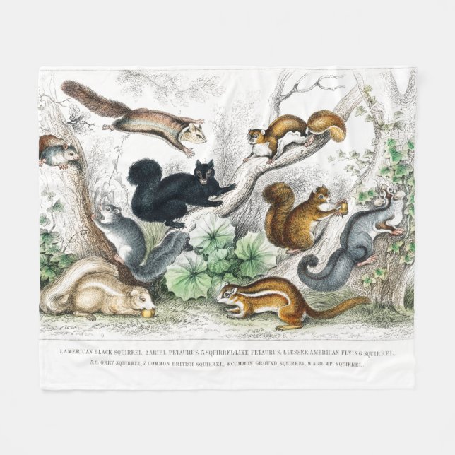 American Black Squirrel, Ariel Petaurus, Squirrel Fleece Blanket (Front (Horizontal))