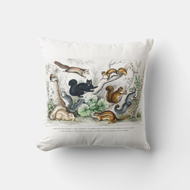 American Black Squirrel, Ariel Petaurus, Squirrel Throw Pillow (Front)