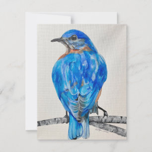 American Bluebird Holiday Card