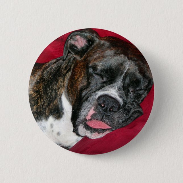 American Boxer 2 Inch Round Button (Front)