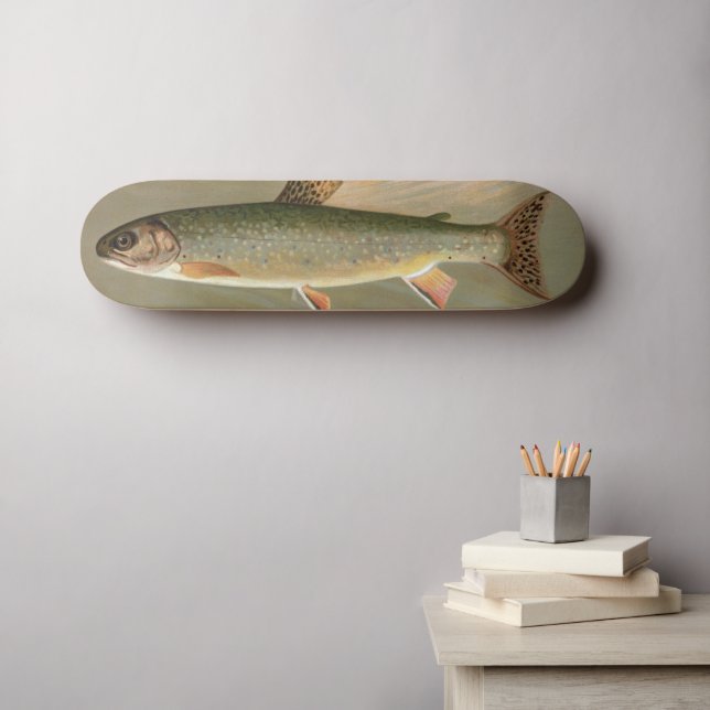 American Brook Trout Fish Vintage Illustration Skateboard (Wall Art (Horz))