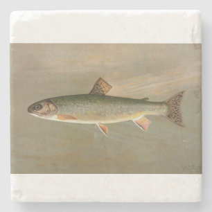 American Brook Trout Fish Vintage Illustration Stone Coaster