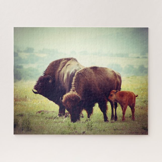 American Buffalo (Bison) Family  Jigsaw Puzzle (Horizontal)
