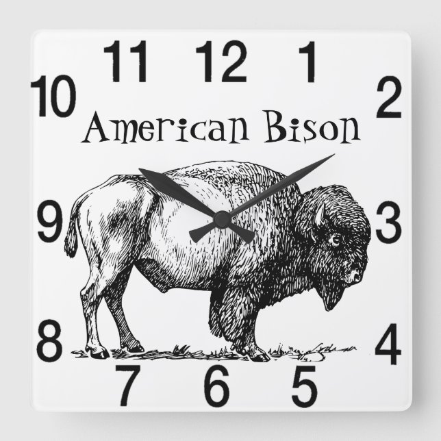 American Buffalo Bison  Square Wall Clock (Front)