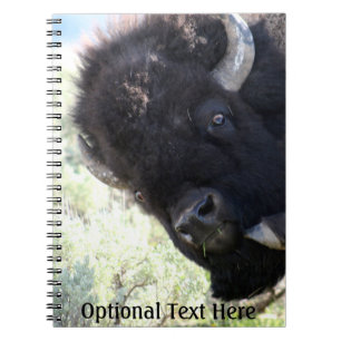 American Buffalo in Yellowstone National Park Notebook