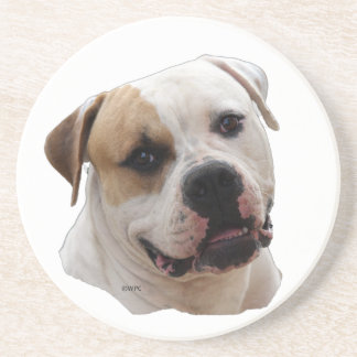 american bulldog coaster