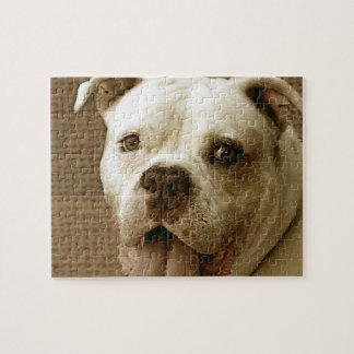 American Bulldog Dog Jigsaw puzzle