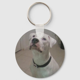American bulldog keychain