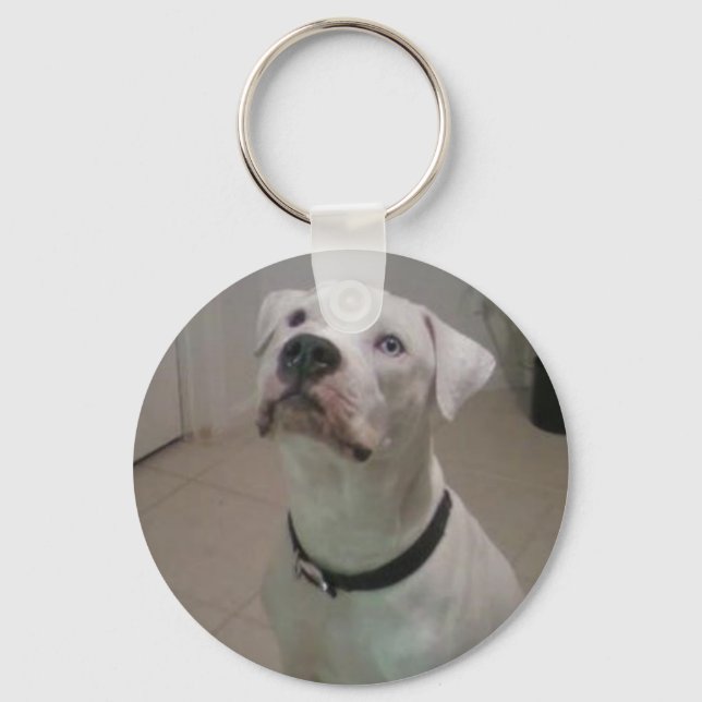 American bulldog keychain (Front)