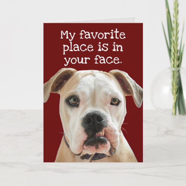 American Bulldog No Bull Father's Day Card (Front)