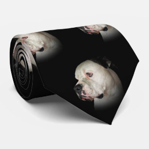 American Bulldog On Black  Tie