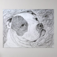 American Bulldog Pet Portrait Art Pencil Drawing