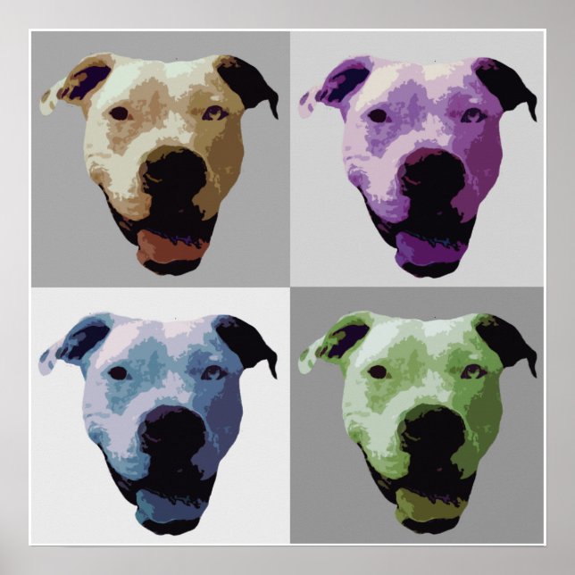 American bulldog poster (Front)