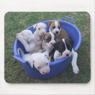 American Bulldog Puppies Mouse Pad