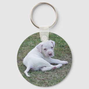 American Bulldog Puppy Keychain