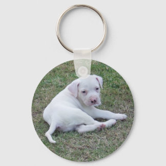 American Bulldog Puppy Keychain