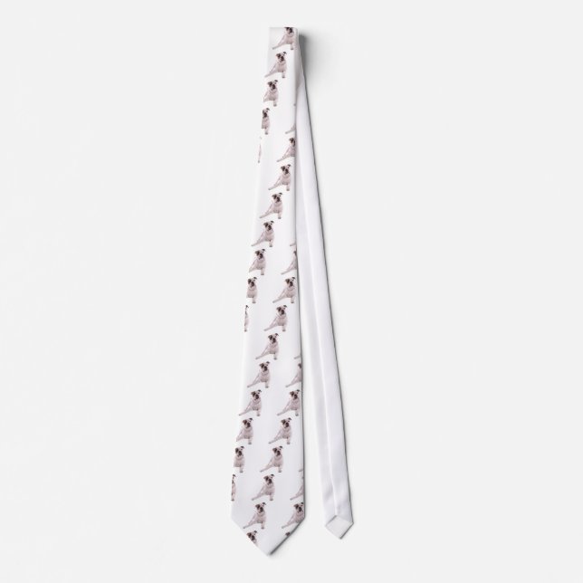 American bulldog tie (Front)