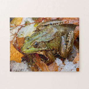 American Bullfrog in Snow Puzzle