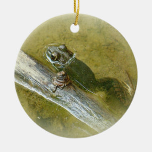 American Bullfrog - Rana catesbeiana Ceramic Ornament