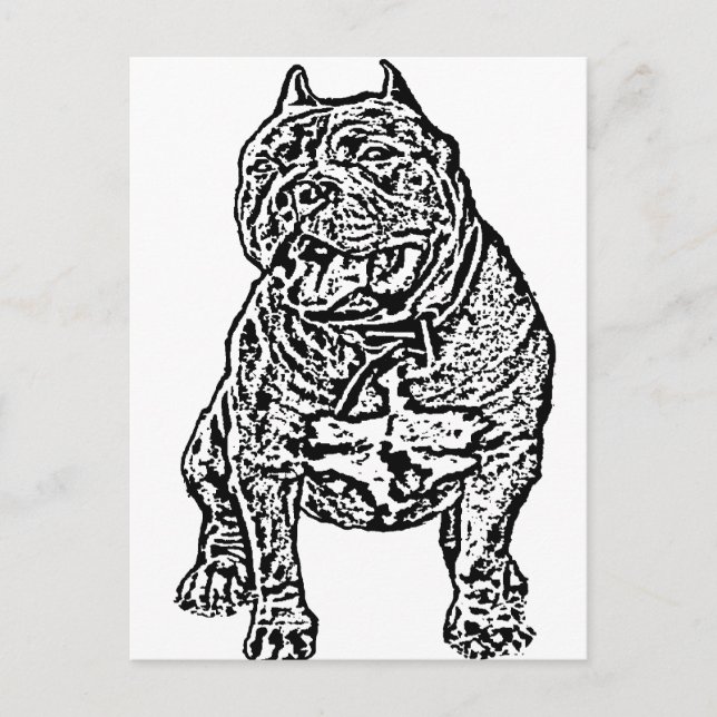 American Bully Dog Postcard (Front)