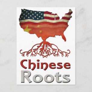 American Chinese Roots Postcard