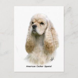 American Cocker Spaniel 9Y244D-035 Postcard