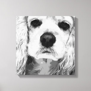 American Cocker Spaniel Canvas Print