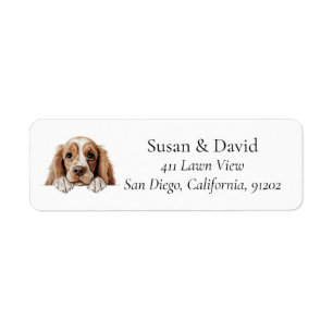 American Cocker Spaniel Chien
