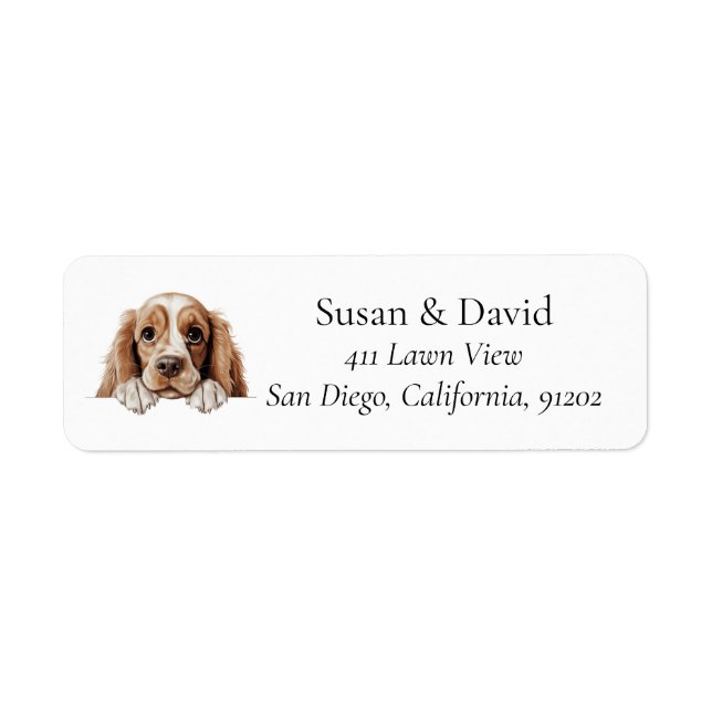 American Cocker Spaniel Chien (Devant)